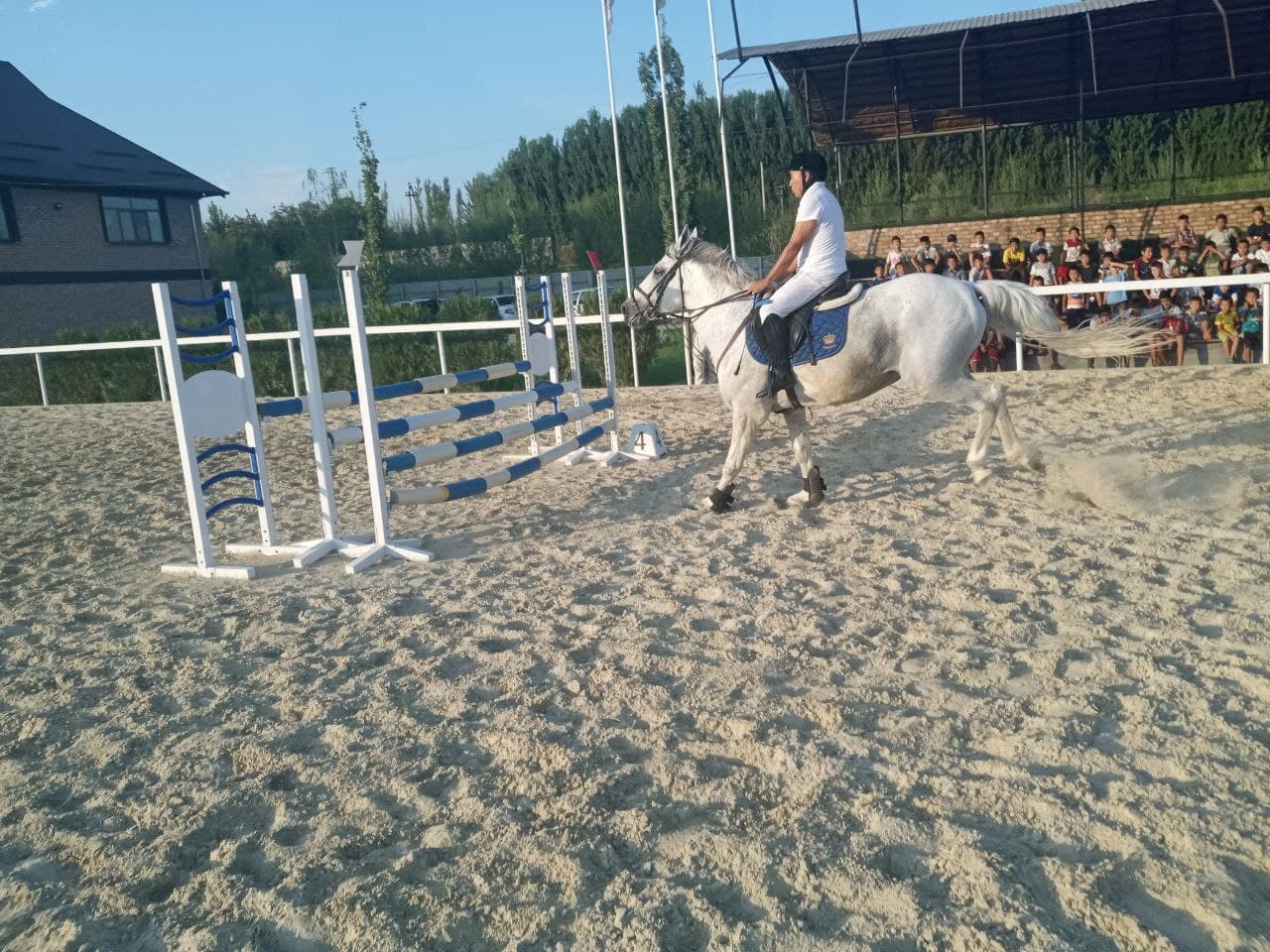 Andijon viloyatida ot sportining “Konkur” turi bo‘yicha musobaqa o‘tkazildi.