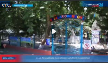 "Dolzarb 90 kun" loyihasi doirasida vatanparvarlik va sport tadbirlari oʻtkazildi